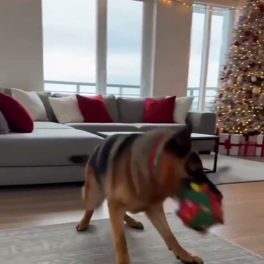 Julegaven til alle som elsker hunden sin