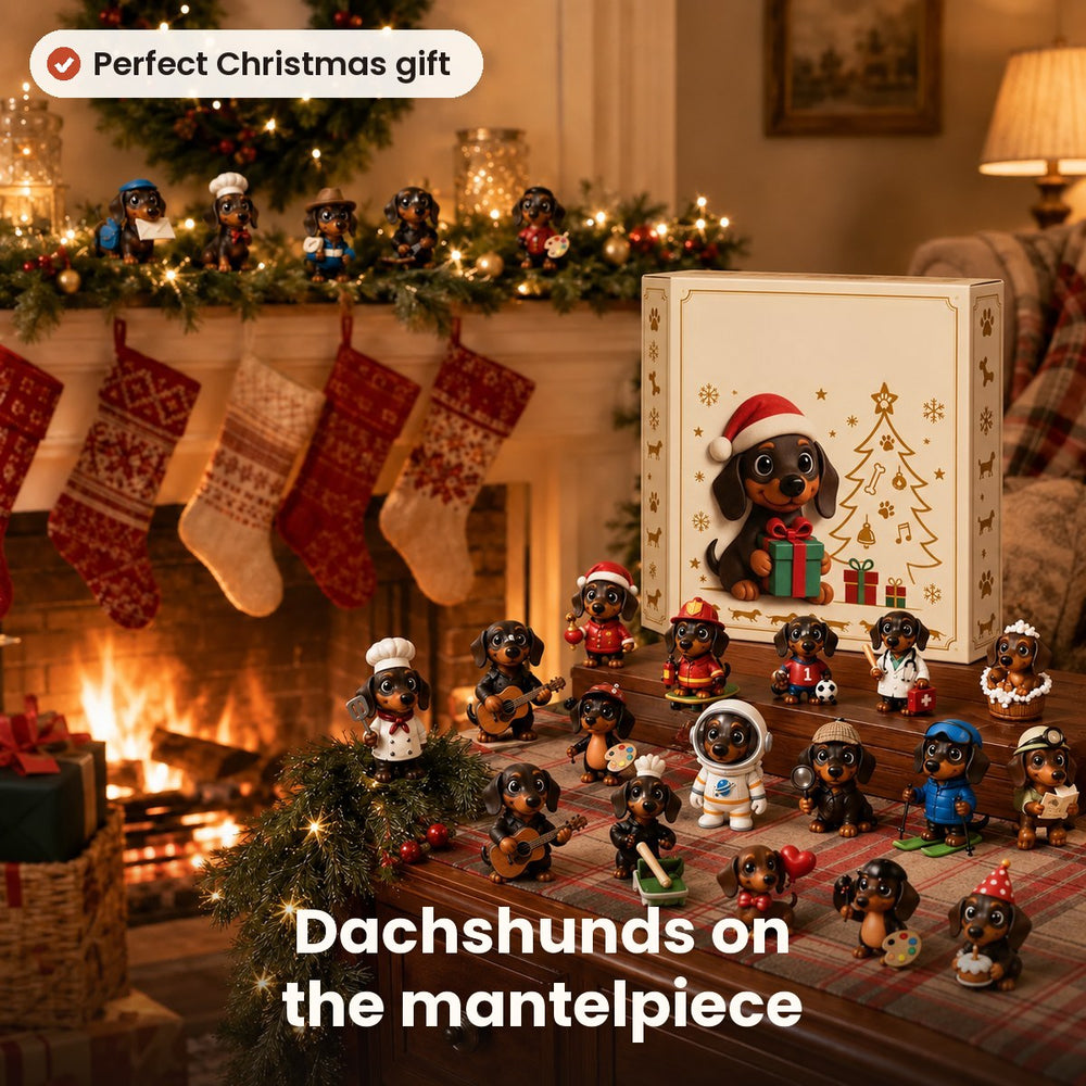 24 dachshunds by Christmas Eve