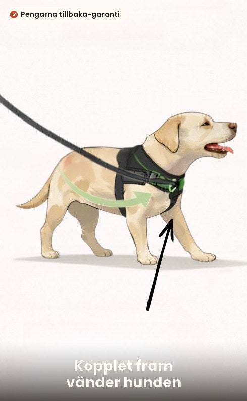 Fästet fram vänder hunden