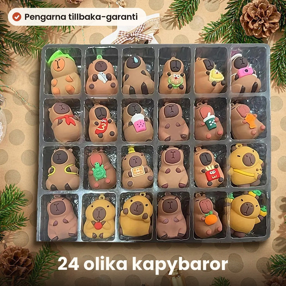 En kapybara om dagen