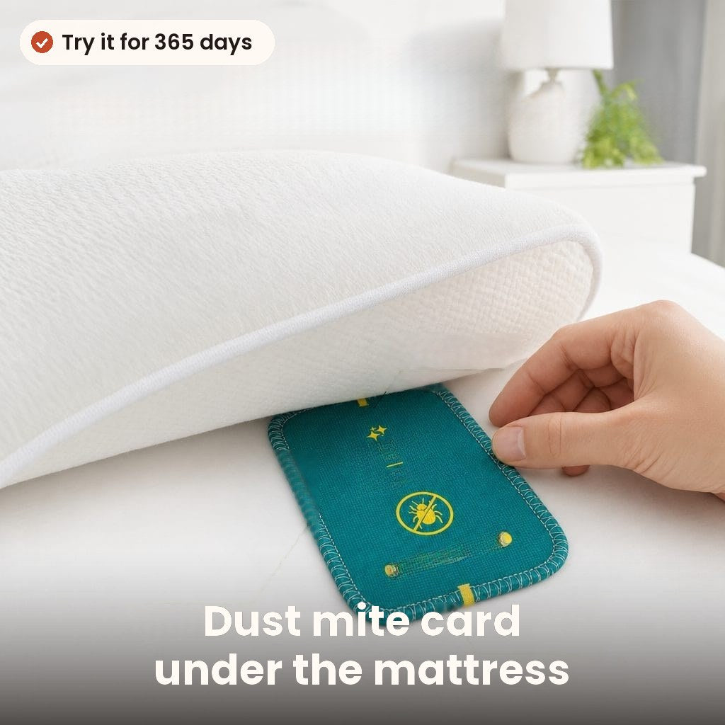 Mattress, pillow, couch