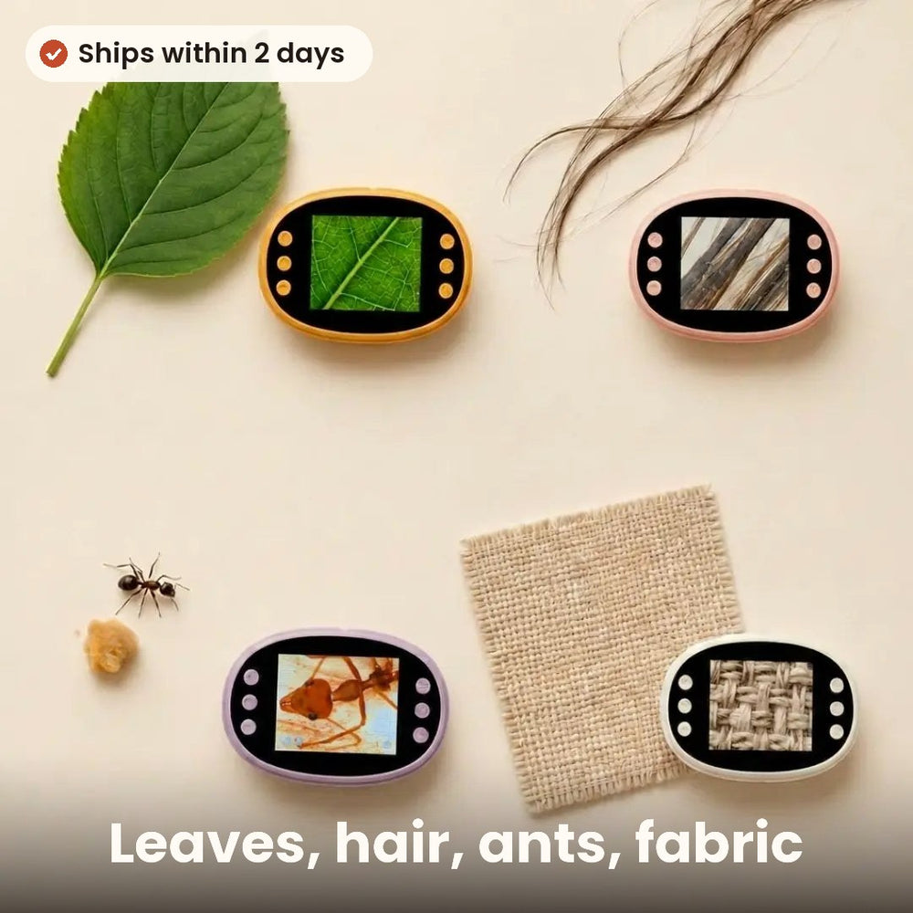 Leaves, bugs, snow, hair