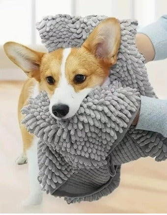 Hund torkas av med chenillehandsken
