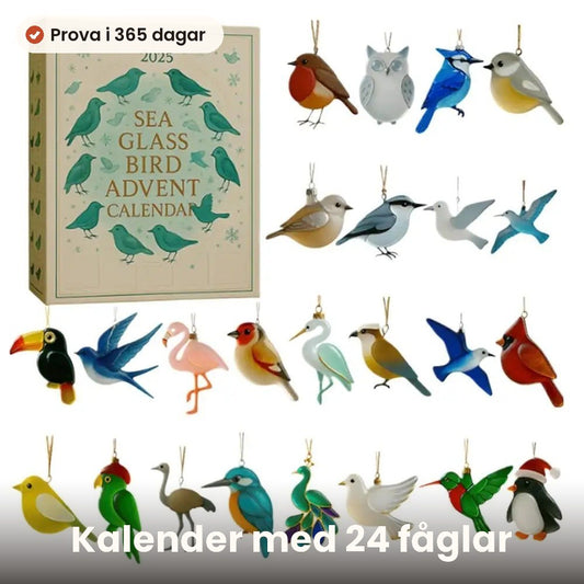 Adventskalender med 24 fåglar i sjöglas-stil