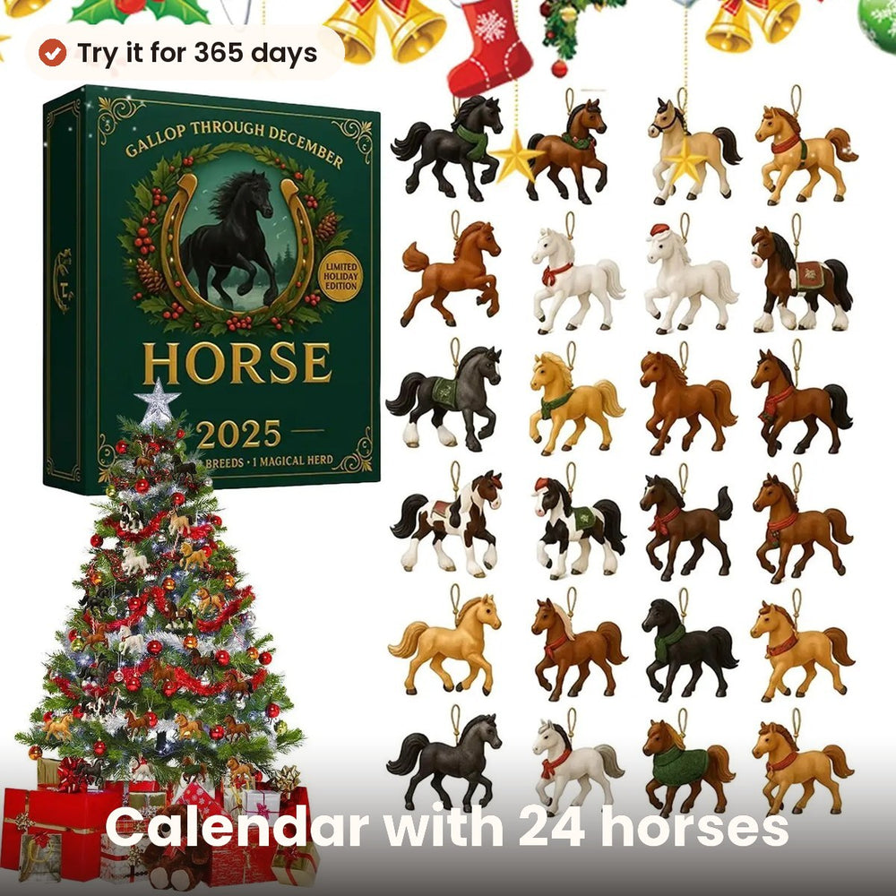 One horse a day