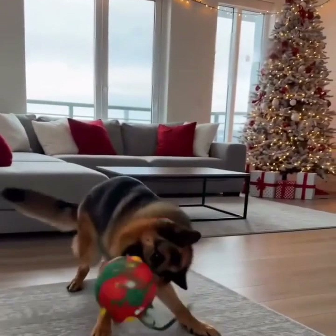 Julekule til hunden – leke som piper
