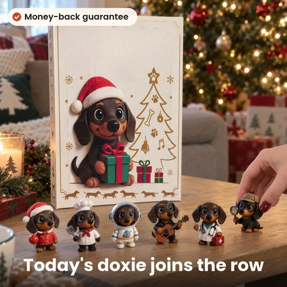 One dachshund a day