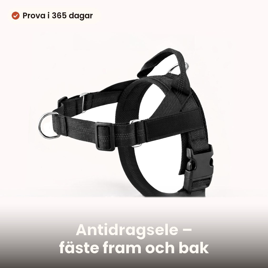 Antidragsele för hund med fäste fram