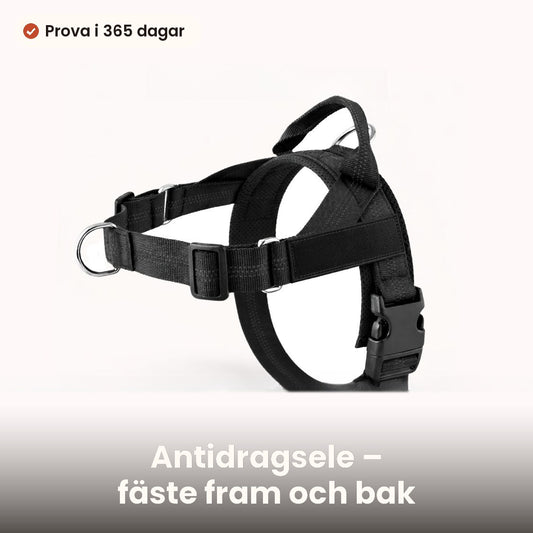 Antidragsele för hund med fäste fram