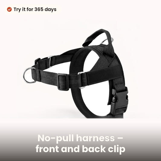 No-pull dog harness with front clip