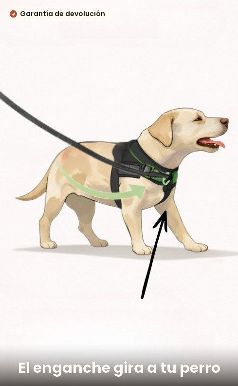 El enganche delantero gira a tu perro