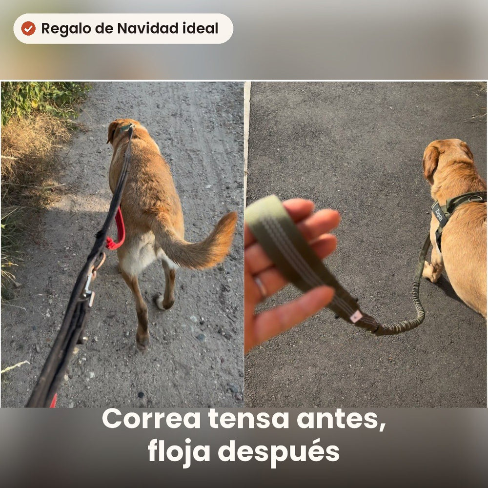 Cómo se usa