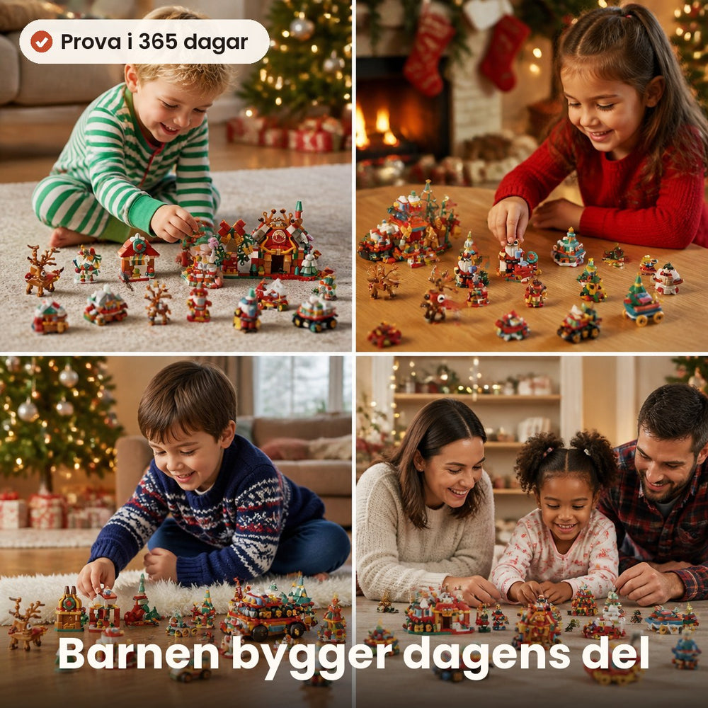 Hus, renar och tomtar